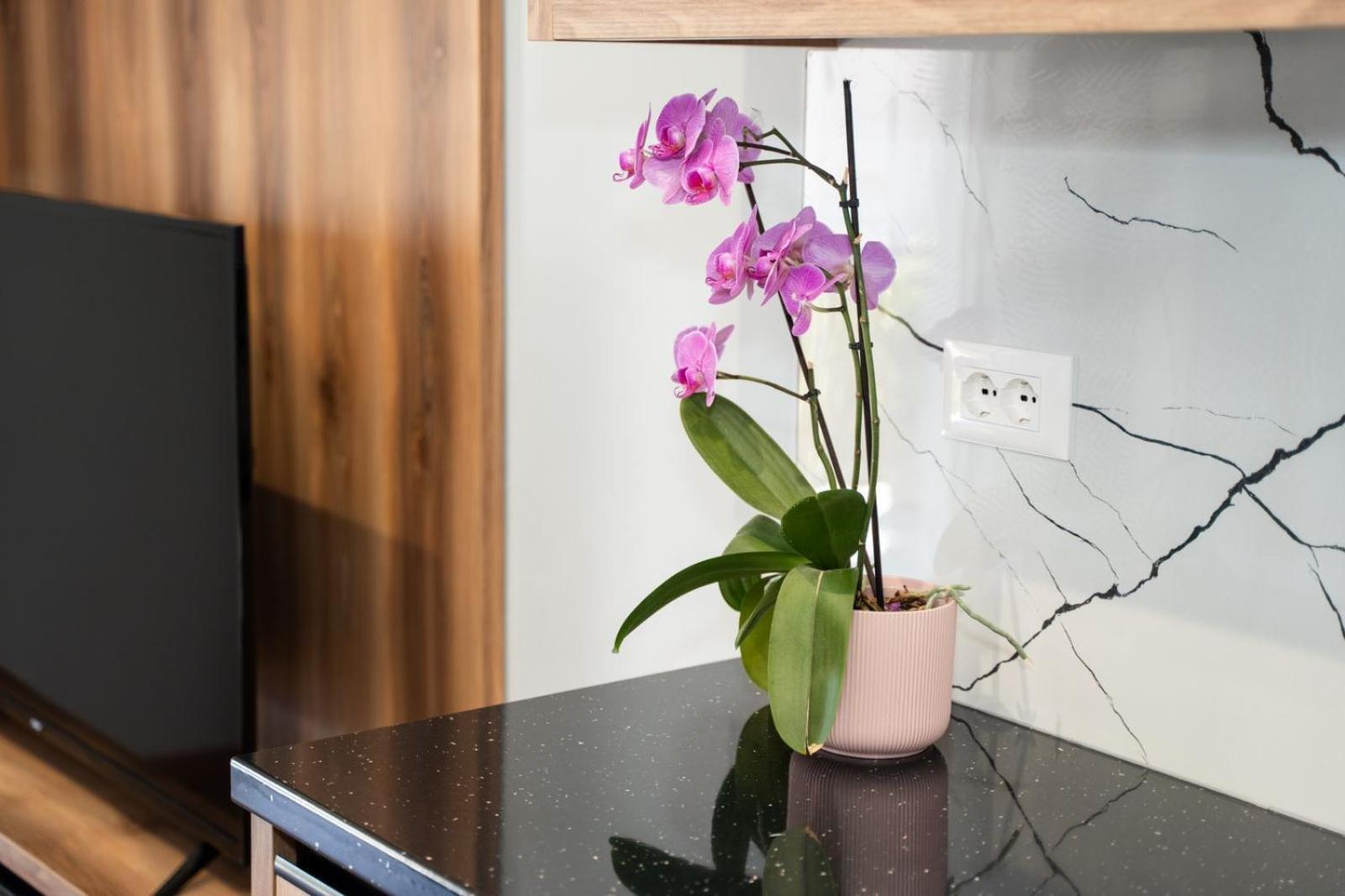 סרנדה Roel Apartments מראה חיצוני תמונה